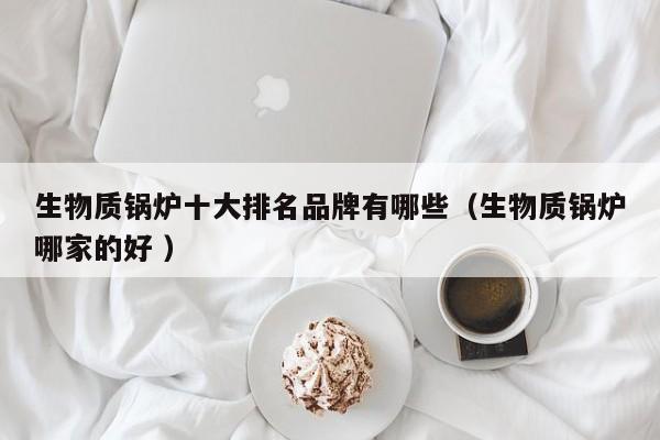 生物質(zhì)鍋爐十大排名品牌有哪些（生物質(zhì)鍋爐哪家的好 ）